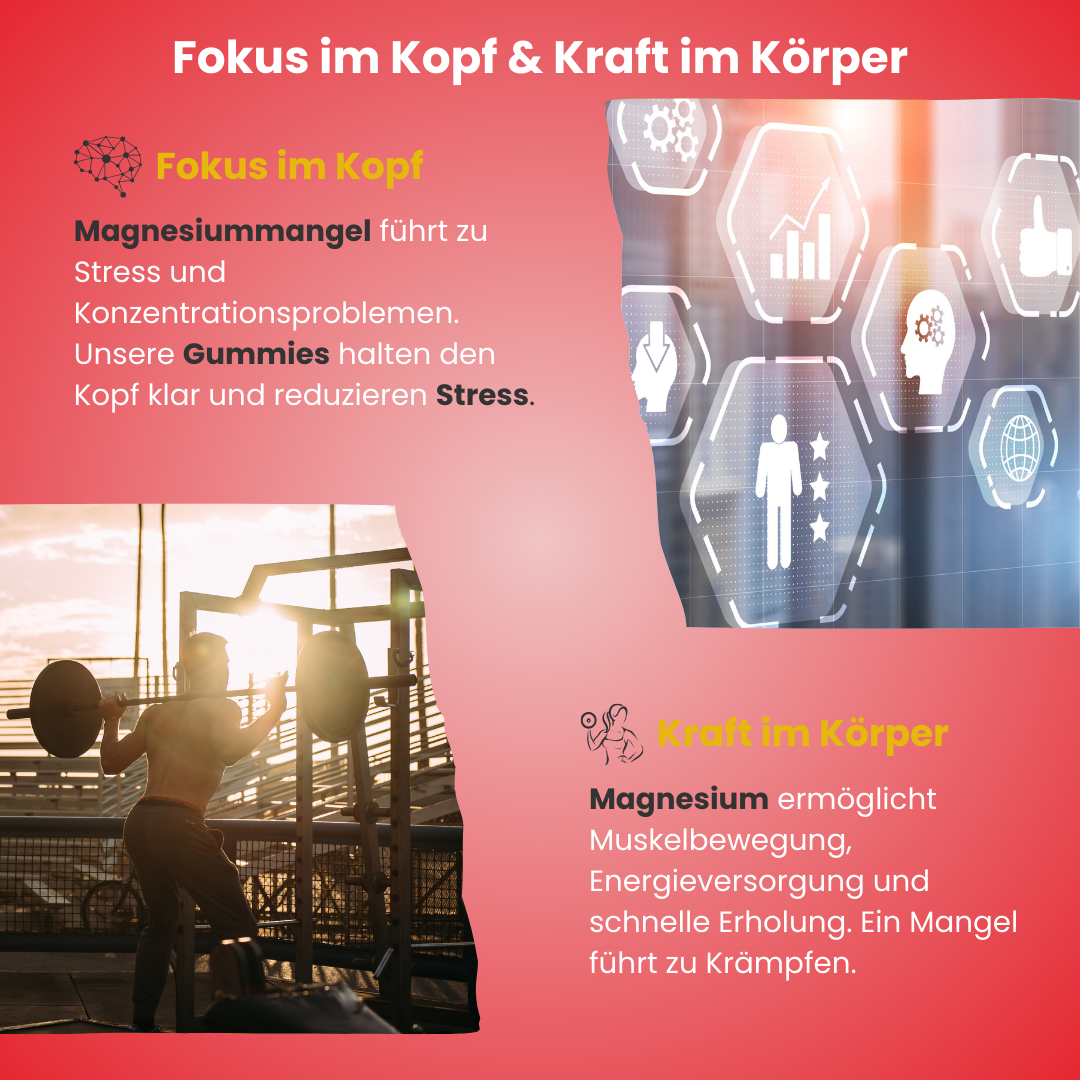 Grafik zu Fokus im Kopf und Kraft im Körper: Magnesium Gummies helfen gegen Stress, unterstützen Konzentration, Muskelbewegung, Energieversorgung und fördern schnellere Regeneration.