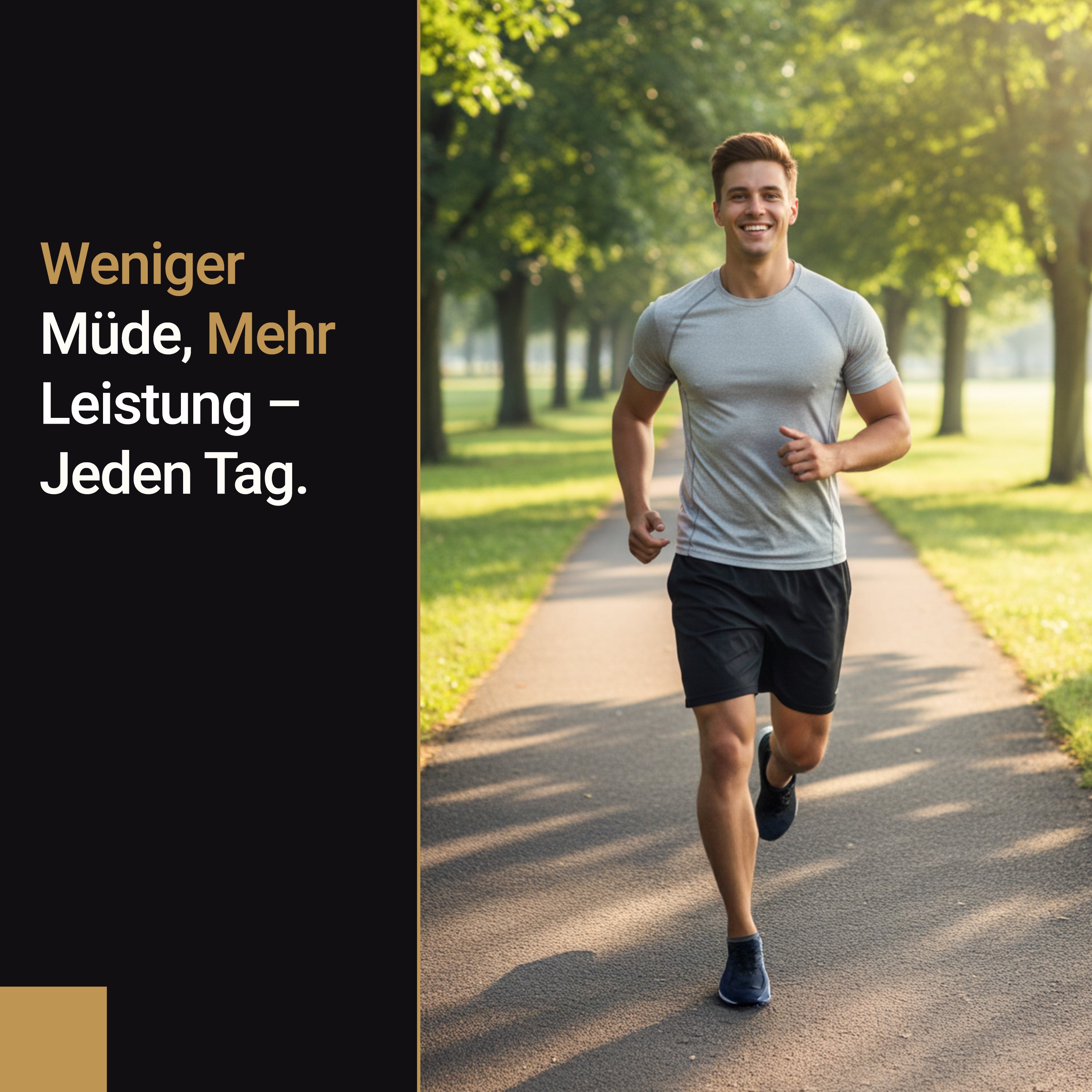 Premium Himalaya Shilajit Kapseln