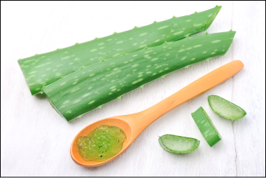 Aloe Vera – natürliche Feuchtigkeitspflege für Haut und Haare, beruhigt gereizte Haut, unterstützt Heilung und spendet intensive Feuchtigkeit.