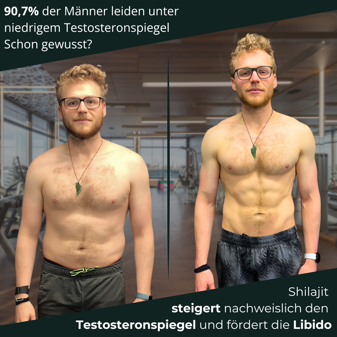 Shilajit Wirkung Dosierung Erfahrungen und Nebenwirkungen (echte Erfahrungsberichte unsere Community)