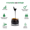 Shilajit von Doktor Health – 6 Vorteile für die körperliche Gesundheit: Blutzuckerspiegel regulieren, Knochengesundheit stärken, Haarqualität optimieren, Verjüngung, verbesserte Wundheilung und Reduzierung von Müdigkeit.